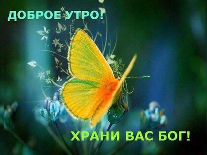 Доброго воскресного утра, друзья! Радости и Божьей благодати