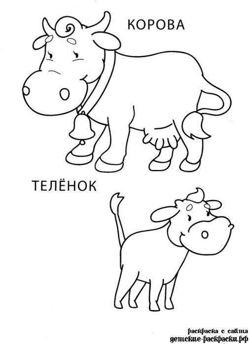 Раскраска для детей, Учимся рисовать барашка, овечку