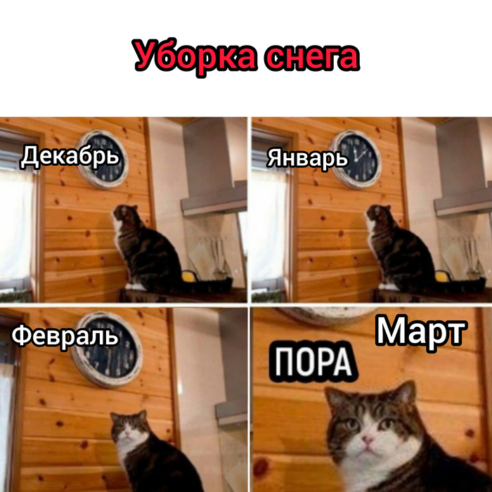 Мем: 