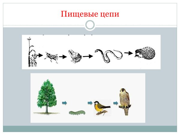 Проанализируйте рисунок 2 «Схема