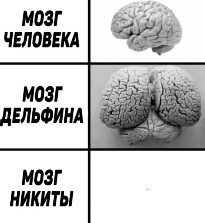 Дразнить и обзывать: почему все дети должны это делать