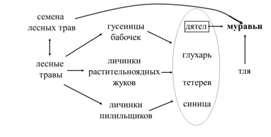 ДМСПЭ Цепи питания — ТолВИКИ