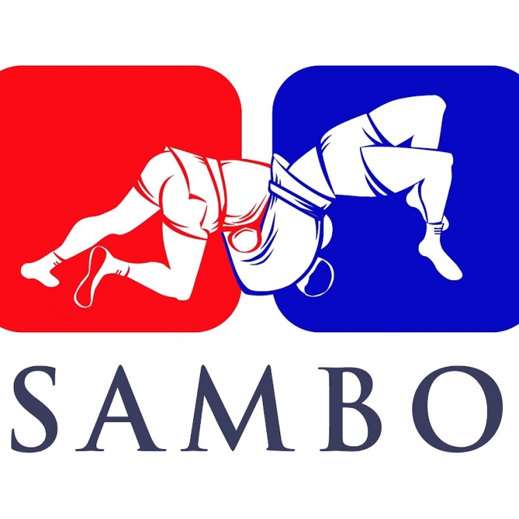 SAMBO, MMA