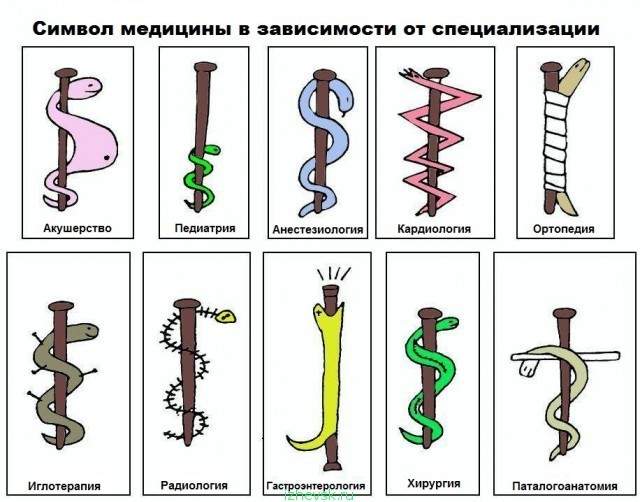 Медицинские шаблоны для для создания