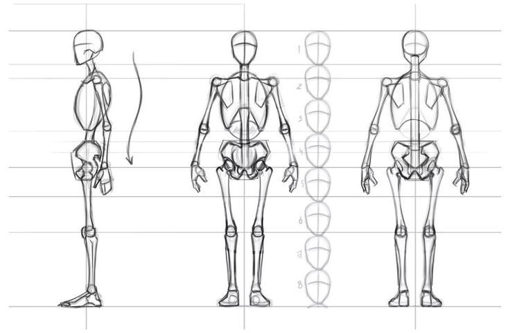 Как научиться рисовать набросок человека с нуля – Блог