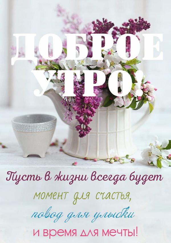 Доброе утро & Добрый вечер