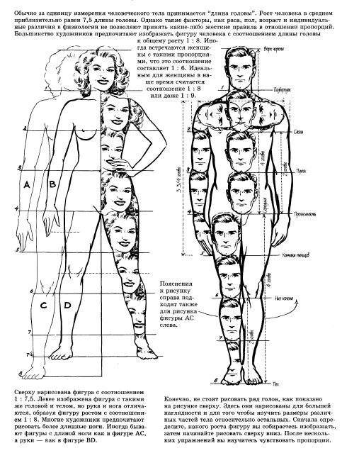 Учусь рисовать женскую фигуру. На первый взгляд все просто