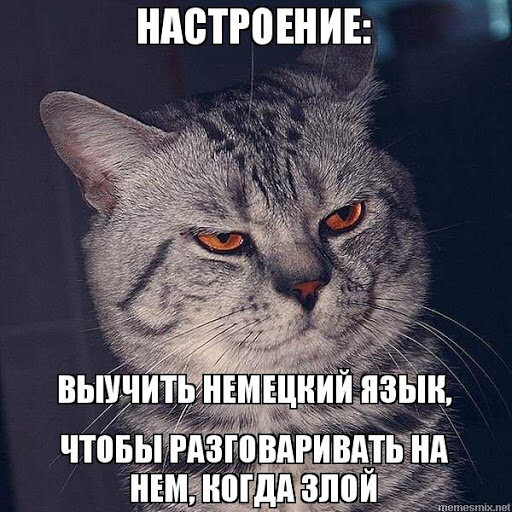 Немецкий язык