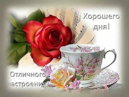 🌹Доброго Дня Отличного Настроения! Открытки Добрый День