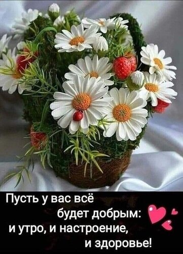 С Добрым Утром! ☕🌹Красивейшие Пожелания Доброго Утра и