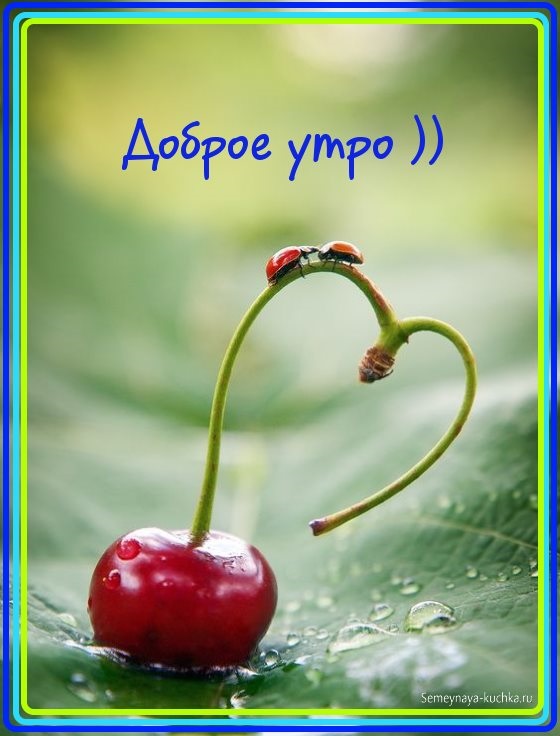 🌺🌿 ЯГОДКИ, ДОБРОЕ УТРО, ОТЛИЧНОГО ДНЯ! 🌿🌺 Хорошо, когда