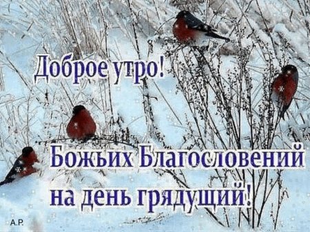 Открытки с добрым утром и