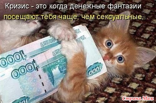 Смешные Высказывания Про Корпоратив