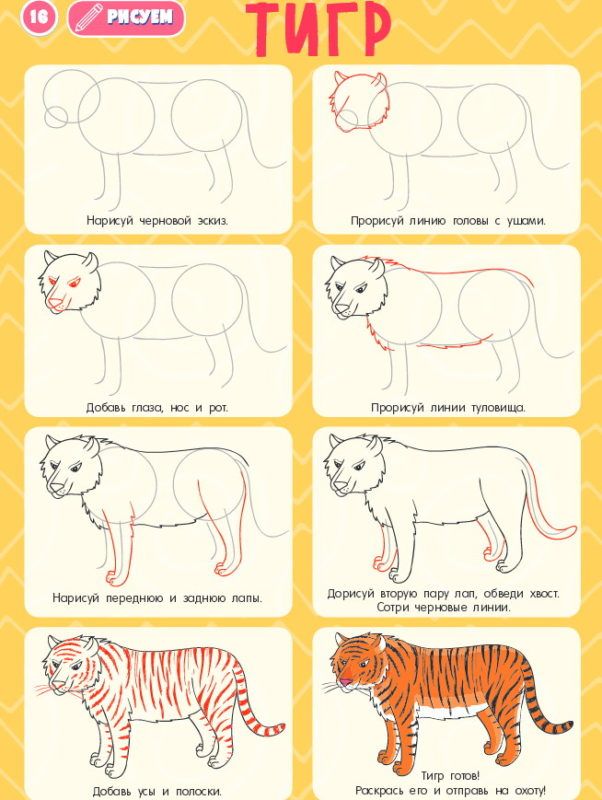 How to draw a cute tiger, Как нарисовать тигрёнка