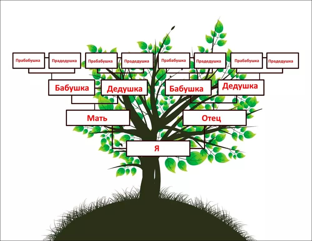 Шаблон родословного дерева