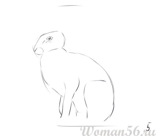 Super Easy! How to Draw a Cute Bunny 