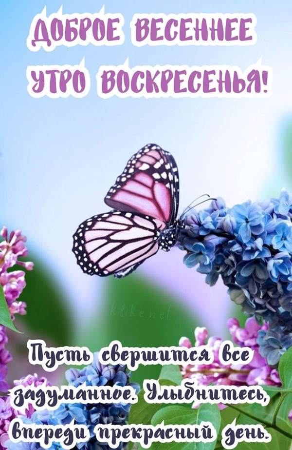 Желаю нежного весеннего воскресенья!: pretty_girl07 — LiveJournal