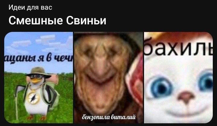 Более 55 700 работ на тему «A Cartoon Pig»: стоковые фото