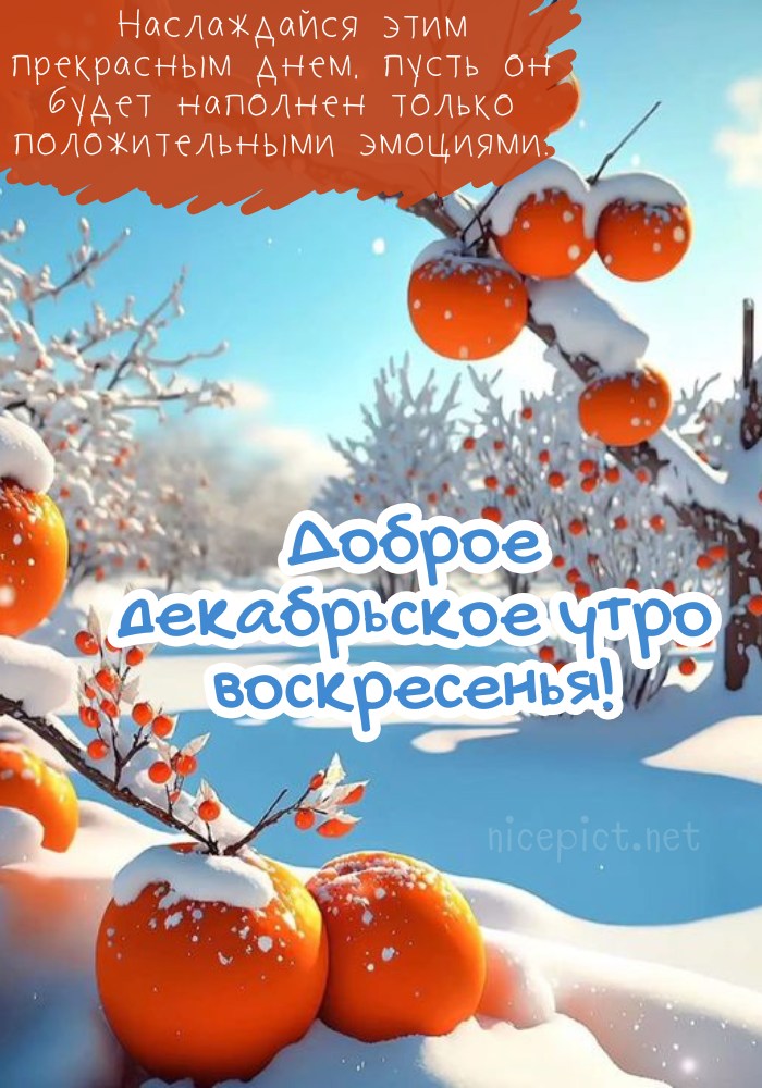 🍂🍁 ДОБРОЕ УТРО, ДРУЗЬЯ! ОТЛИЧНОГО ДНЯ! 🍁🍂 Я желаю вам