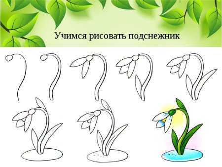 Рисуем подснежники