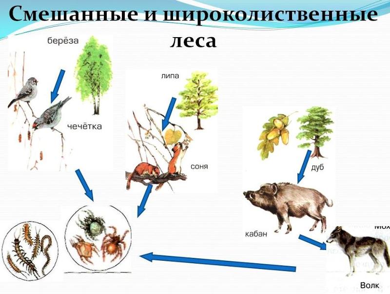 Ответы | Практ. 2. Составление цепей и