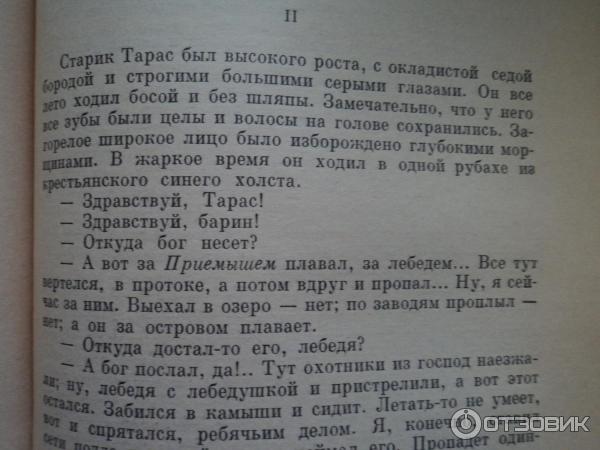 Иллюстрация 19 века к рассказу Д. Н. Мамина