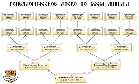 Шаблоны Родословное дерево для школы