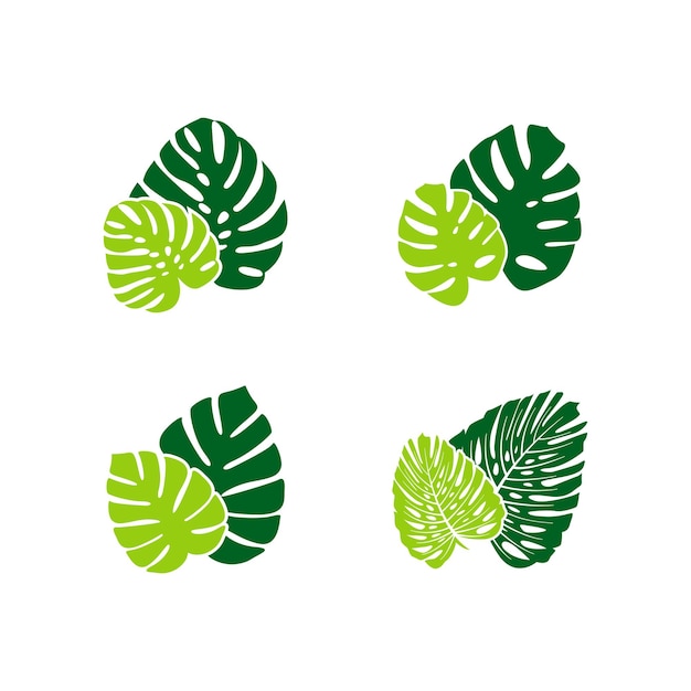 Monstera deliciosa Leaf Logo Vector