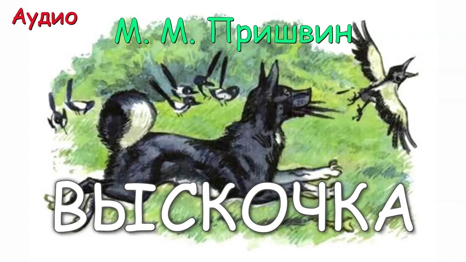 Иллюстрация к рассказу пришвина выскочка 