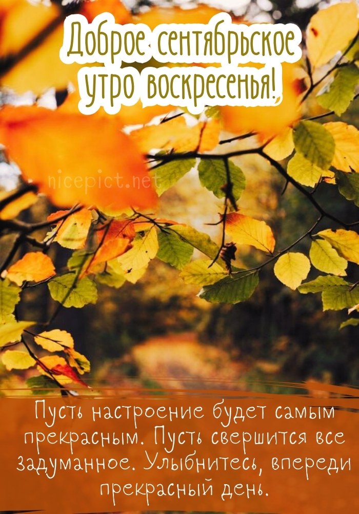 Доброго утра воскресенья — пожелания, открытки и картинки на