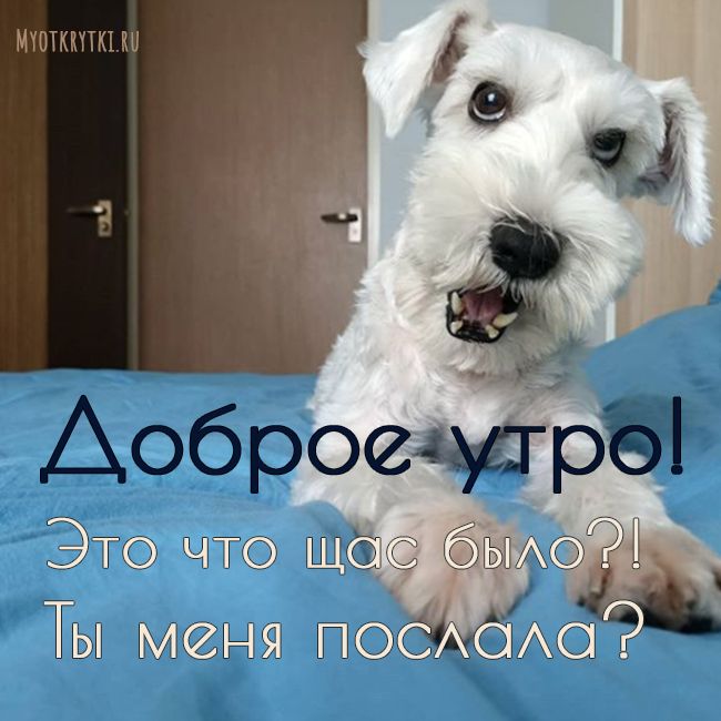 Доброе утро.