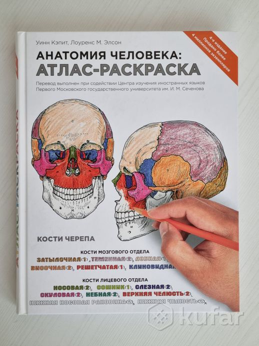 Как нарисовать человека в движении карандашом