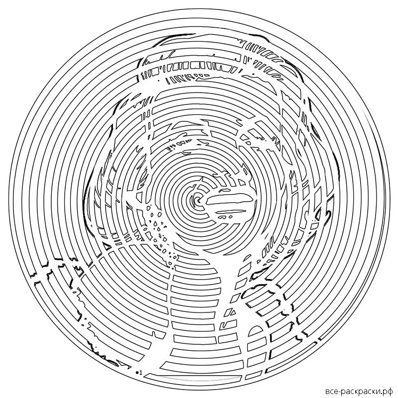 Spiroglyphics Знаменитости One Direction