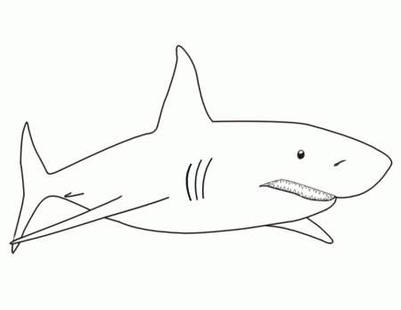 Shark from IKEA 🦈 