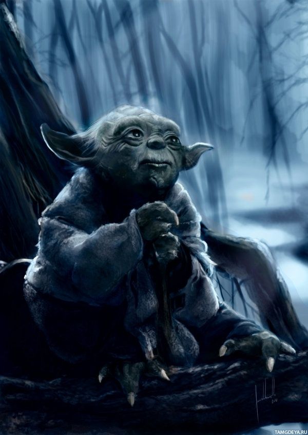 La Nature De Réveil Forme Un Avatar Pour Le Maître Yoda Image