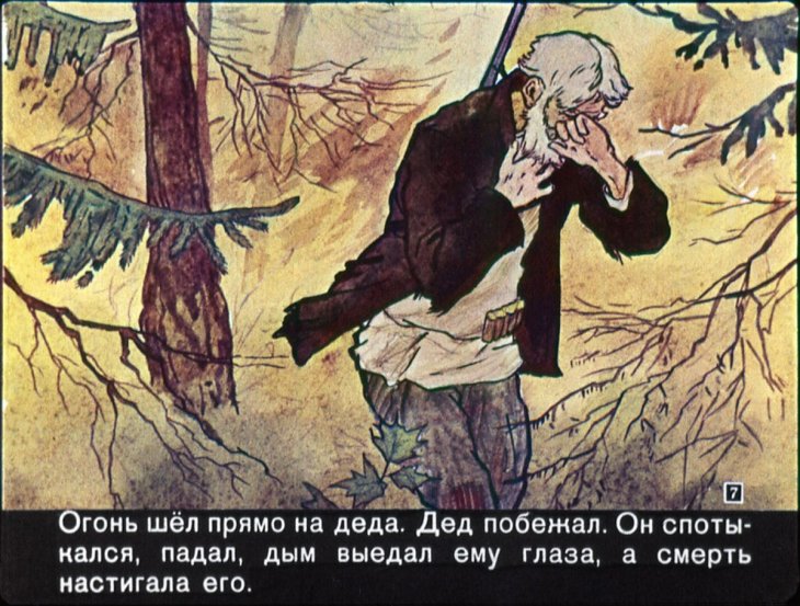 Рисунок Заячьи Лапы 