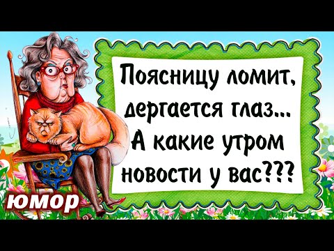 Шуточные пожелания с добрым утром 