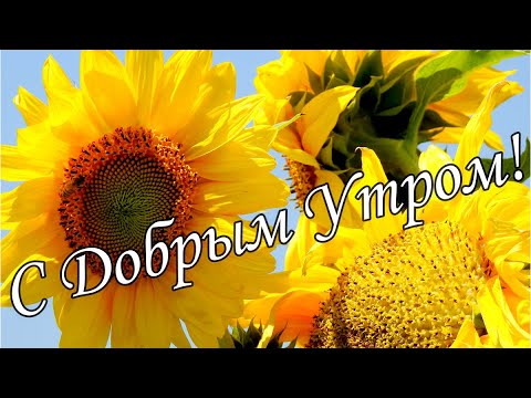 Открытки с добрым утром душевные 