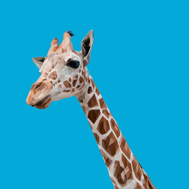 Hand Drawn Giraffe Images | Free Photos