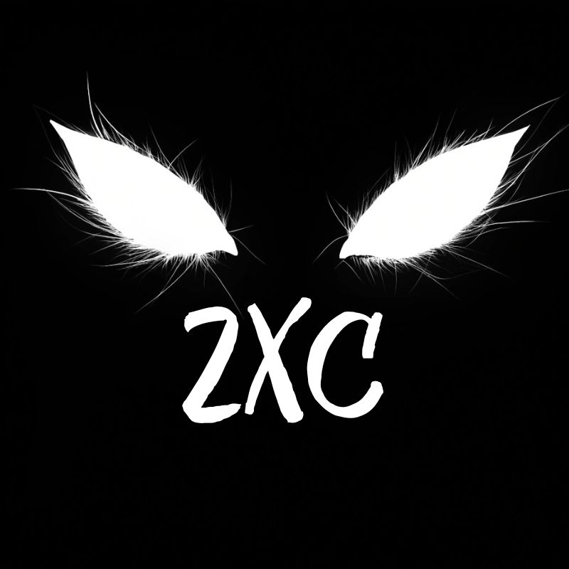 Zxc Кот Обои | TikTok