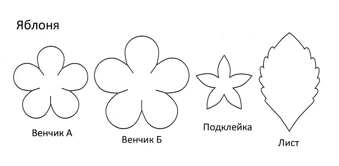 Трафареты цветок тюльпана из бумаги