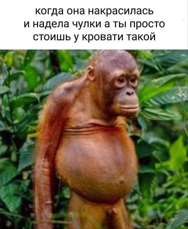 Смешные картинки