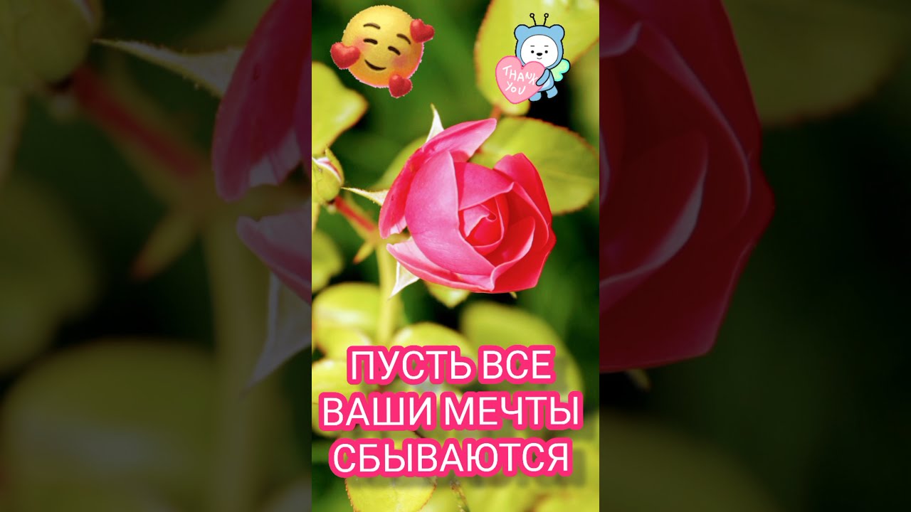 💗☕️Доброе Утро! Хорошего Дня!🌷Для Друзей! Заряд Позитива