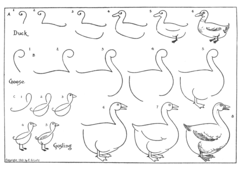 Как нарисовать Гуся ребенку. Рисуем просто, поэтапно