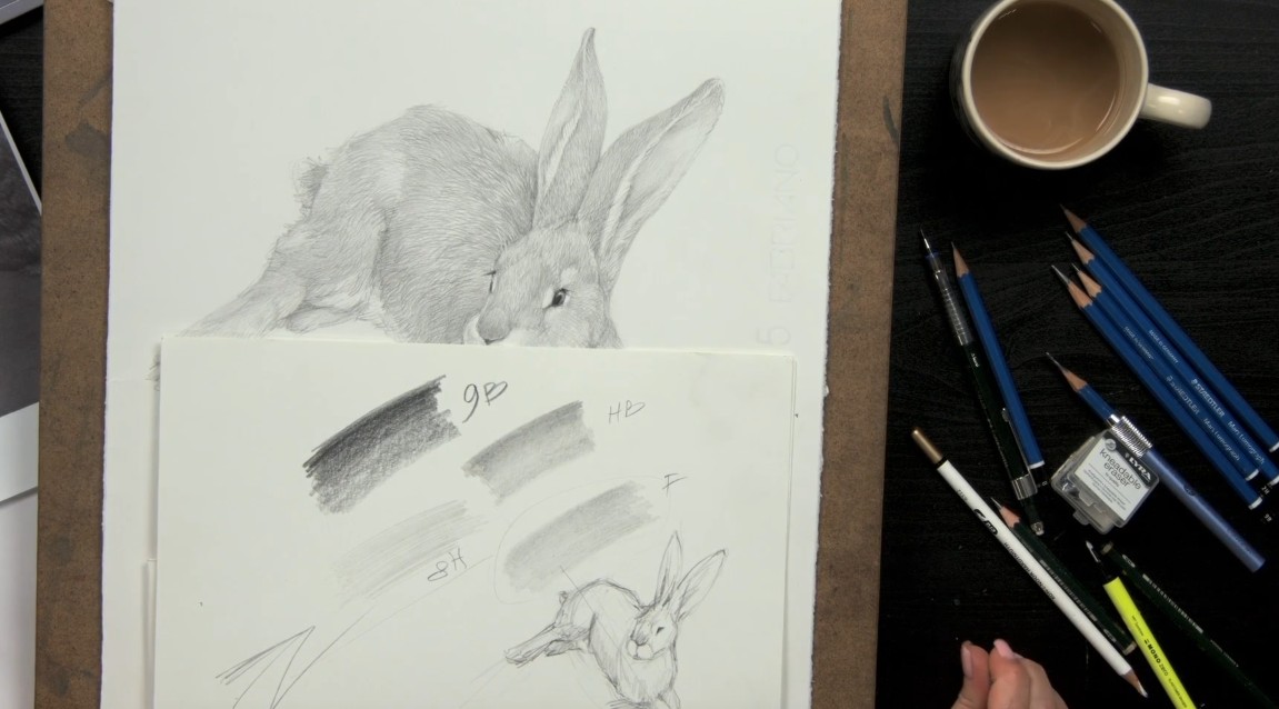 3D drawing How to draw a rabbit