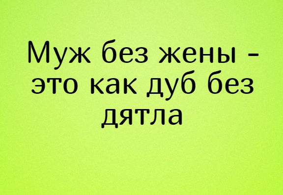 🦉Цитаты забавные и мудрые о муже и жене | ГРУСТИШКИ.NET | Дзен