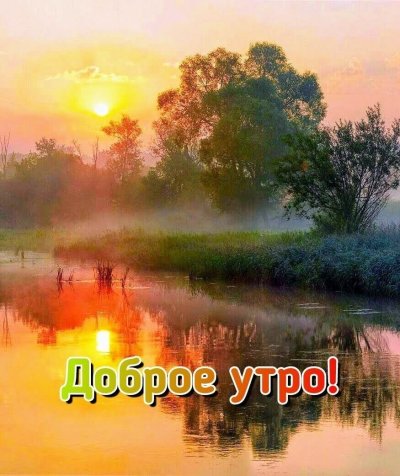 Удивительная природа