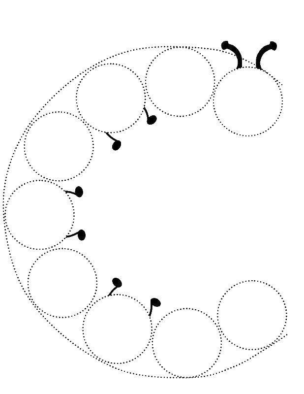гусеница Раскраски распечатать бесплатно.