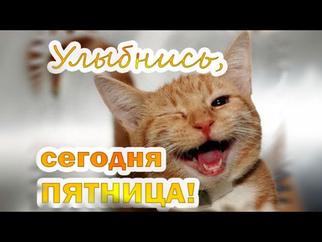 Картинки Доброе утро пятницы