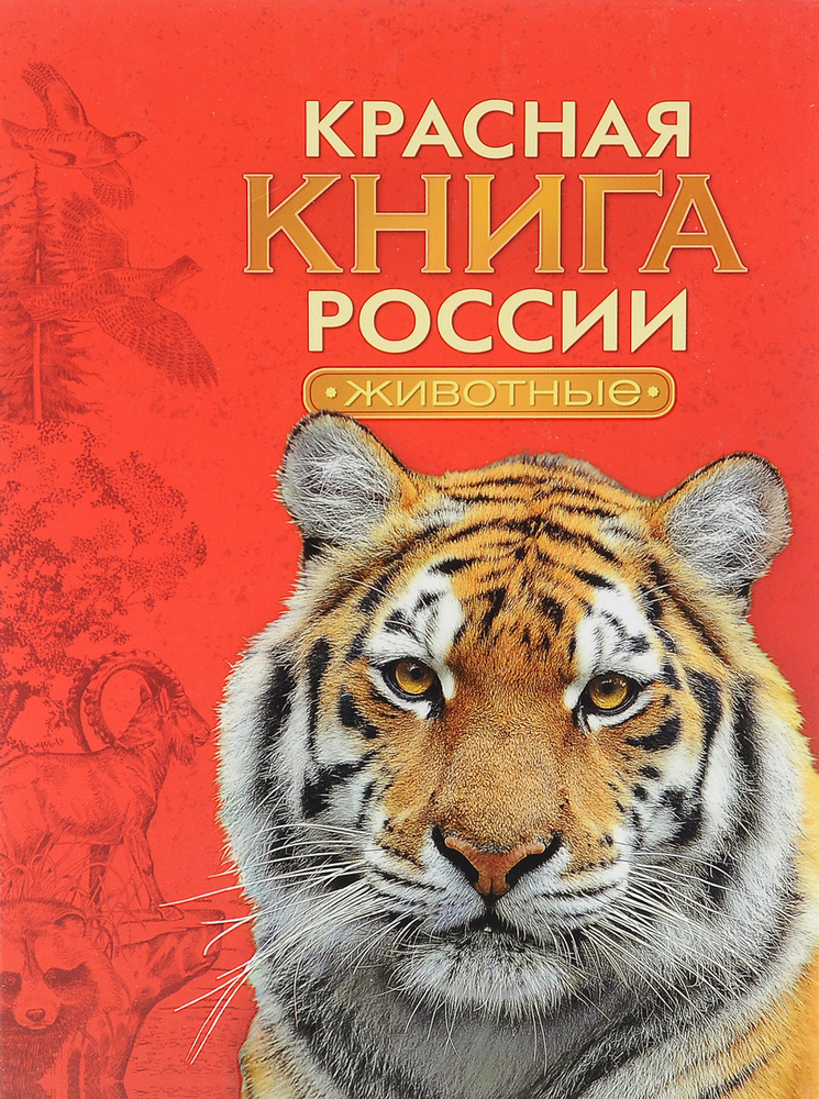 Животные из красной книги татарстана рисунки